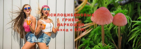 круглые Армянск