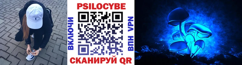 Галлюциногенные грибы Psilocybine cubensis  Приволжск 
